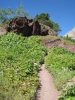 PICTURES/Swiftcurrent Pass Trail/t_Swiftcurrent Trail2.jpg